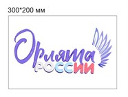 Орлята России, Центр детских инициатив